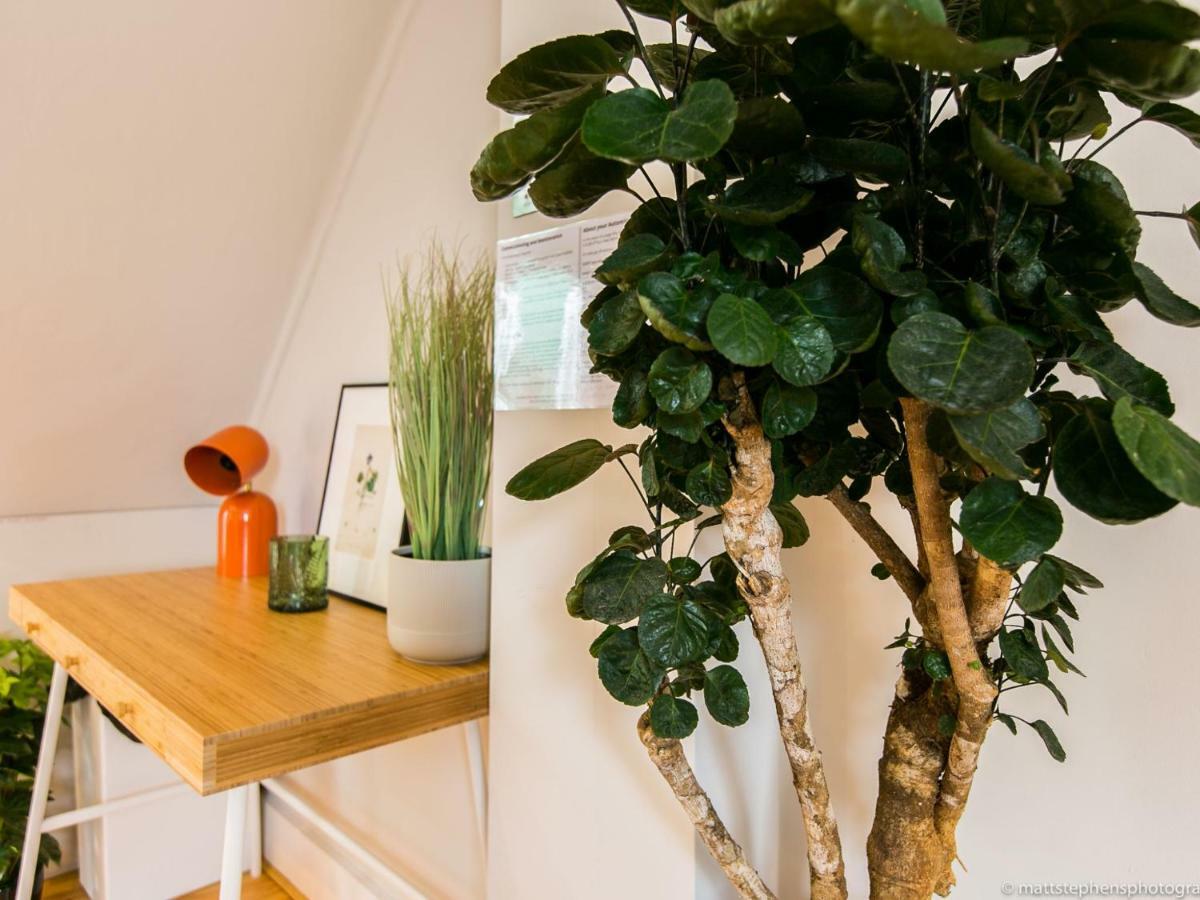 Exquisite 3Bdr Botanical Oasis In Central Μπράιτον Εξωτερικό φωτογραφία